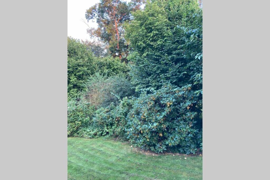 Wunderschone Komplett Neu Eingerichtete Wohnung Emmerthal エクステリア 写真